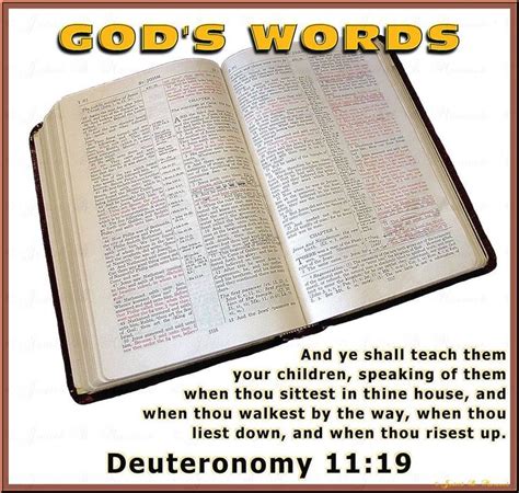 Pin On Gods Holy Word The Bible