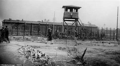 How They Managed The Great Escape From Nazi Pow Camp In 1944 My Style News