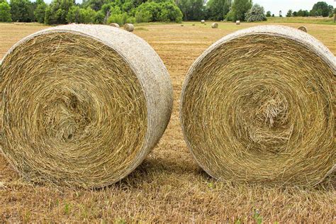2 Freshly Baled Round Hay Bales Photograph By James Bo Insogna