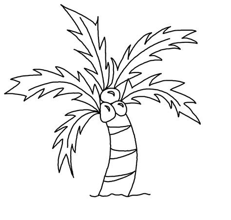 Coconut Tree Easy To Draw Clip Art Library