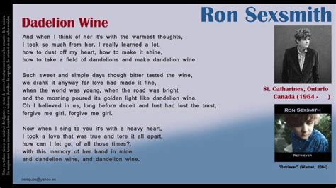 Dandelion Wine Ron Sexsmith Youtube