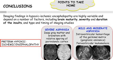 Figure 25 From Hypoxic Ischemic Encephalopathy Review Mechanisms Of