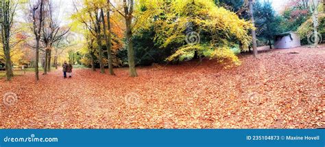 Scenic Autumn Panoramic View Of Trees At Polesden Lacy Surrey England Stock Image Image Of