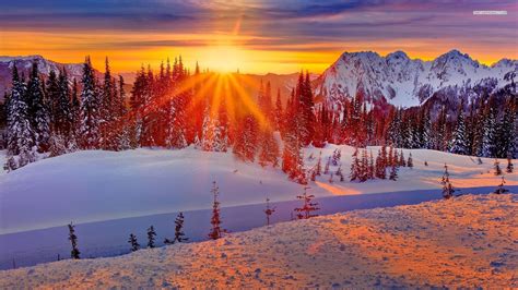Winter Sunset Wallpaper Pictures