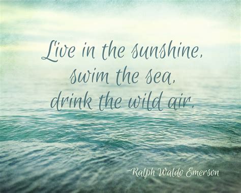 Live In The Sunshine Quote Summer Quotes The Sunshine And Ralph