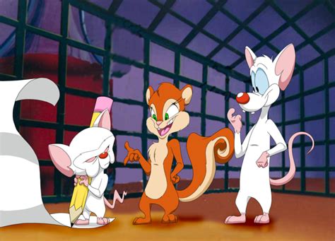 Pinky And The Brain Looney Happy Day Pinky Brain Disney Characters Fictional Characters
