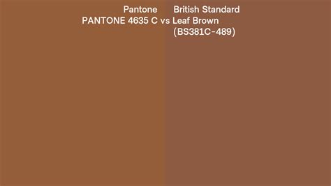 Pantone 4635 C Vs British Standard Leaf Brown Bs381c 489 Side By Side