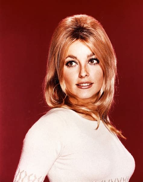 picture of sharon tate