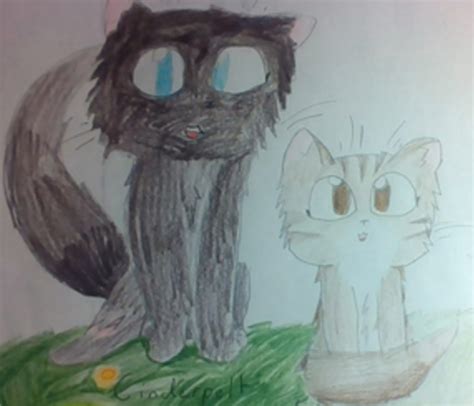 Cinderpelt And Leafpawpool Warrior Cats