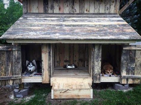 49 Dog House Ideas For A Tail Wagging Retreat