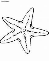 Starfish Outline Clip Clipart Star Fish Coloring Cartoon Printable Colouring sketch template