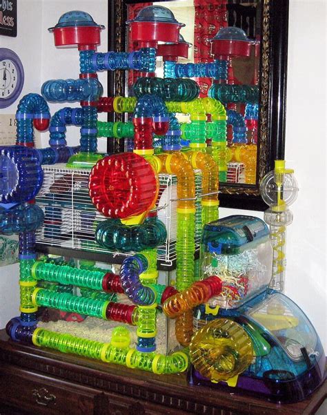 Amazing Hamster Cage Ideas All Pet Cages