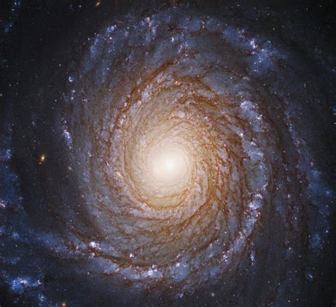 Spiral Galaxies More Likely To Host Complex Life Study Scinews