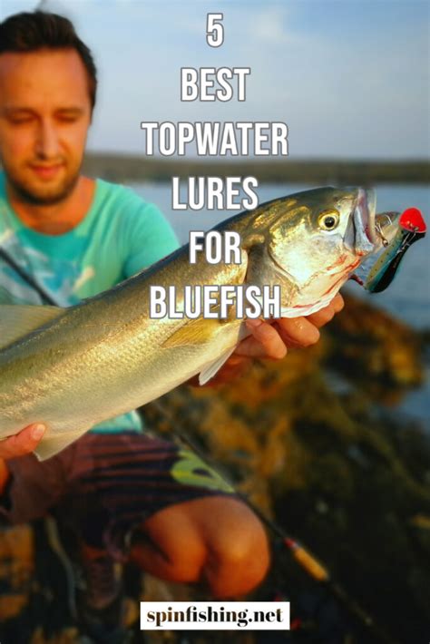 5 Best Topwater Lures For Bluefish Rod Reel Lure Braid Spin