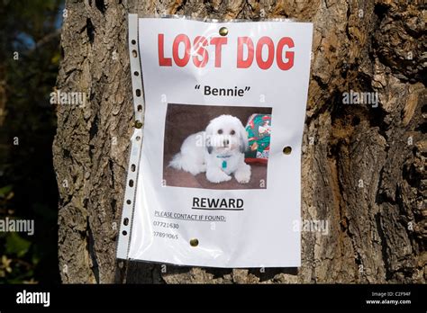 Reward Poster Uk Hi Res Stock Photography And Images Alamy