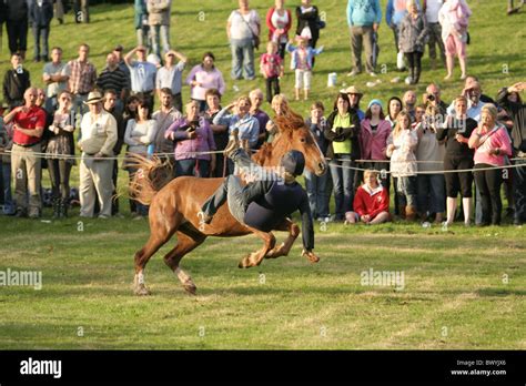 Rider Falling Off Horse Hi Res Stock Photography And Images Alamy