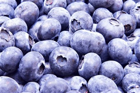 Blueberries Berry Berries Blueberry Blue Hd Wallpaper Peakpx