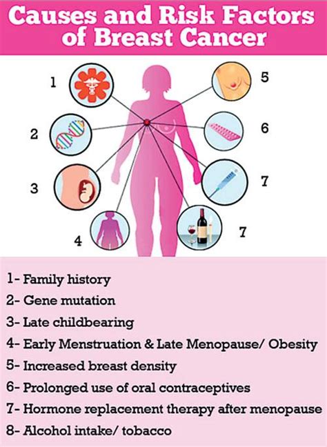 Does Late Menopause Cause Breast Cancer Knowledge Of Symptoms And Risk Factors Of Breast