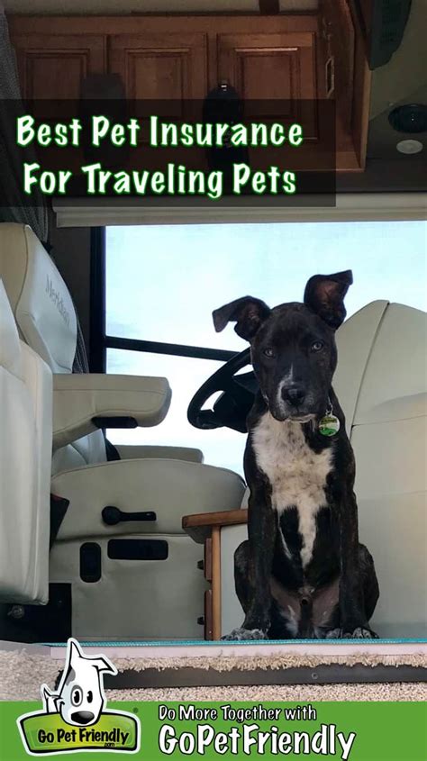 Best Pet Insurance for Traveling Pets | GoPetFriendly.com ...