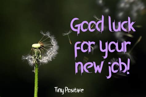 165 What To Write Best Wishes For New Job Simple Congratulations