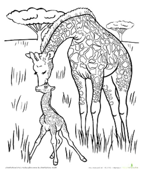 Printable Giraffe Coloring Pages Updated 2023