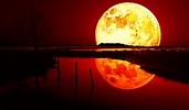 Blood Moon Wallpaper, HD Nature 4K Wallpapers, Images and Background ...