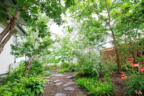 雑木と山野草の庭 | 庭蒼 NIWASO-造園設計施工管理 長野県 塩尻・松本