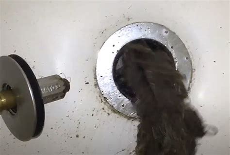 Hair Clogged Drains Homegrown Hack Solves The Problem