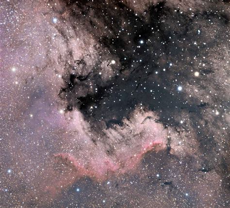 Dark Nebulae In Cygnus Sky And Telescope Sky And Telescope