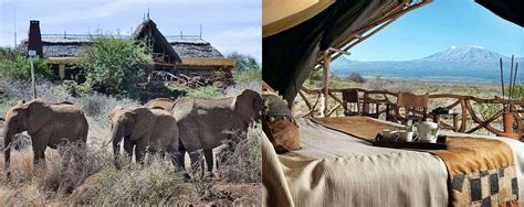 Where To Stay In Amboseli Park In Kenya Africanmecca Safaris