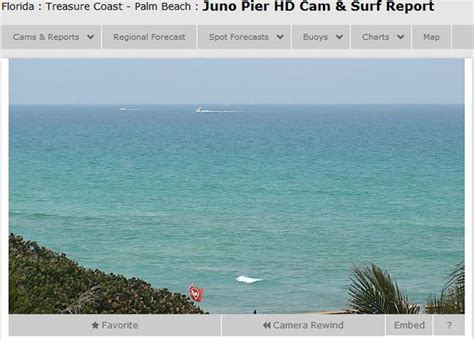 Surfline Introduces New Juno Pier Hd Cam Surflinecom