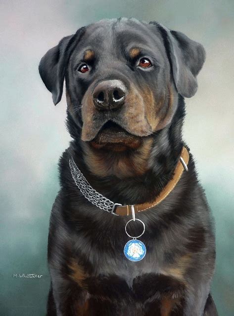 Mark Whittaker Pet Portrait And Wildlife Artist Pastel Painting Of