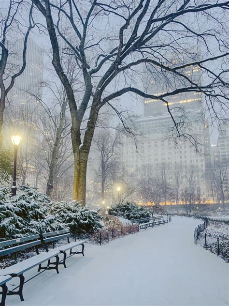 Central Park New York City Snow Storm Stock Photo Image Of Scenic