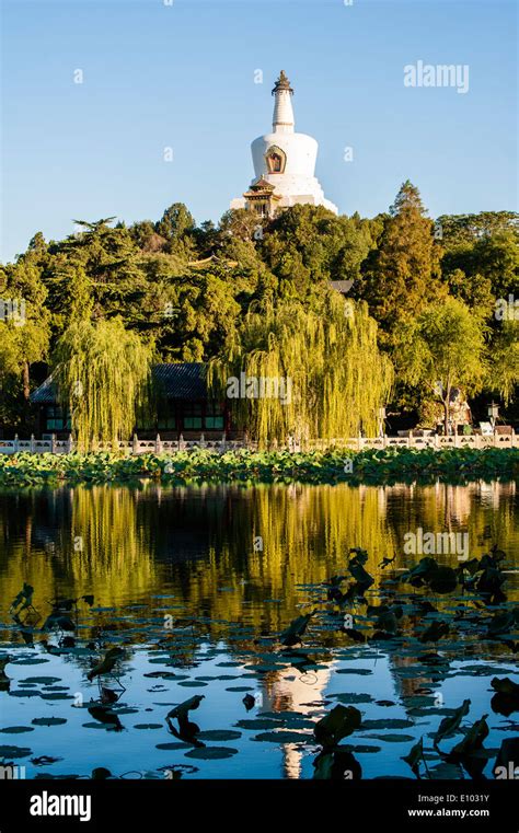 White Pagoda In Beihai Park Beijing Stock Photo Alamy