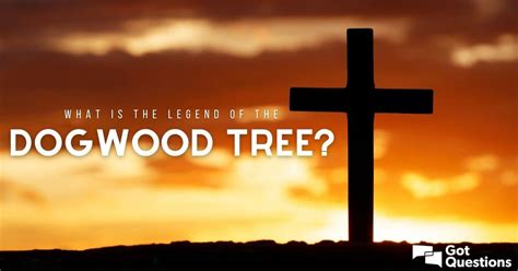 What is the legend of the dogwood tree? Was the cross Jesus was ...