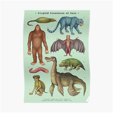 Cryptids Of Asia Cryptozoology Species Poster By Vlad Stankovic