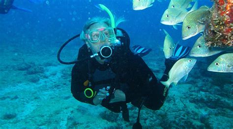 Scuba Diving In Cancun Padi Certifications In Cancun