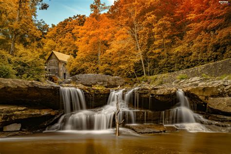 River Windmill Forest Autumn Waterfall Water