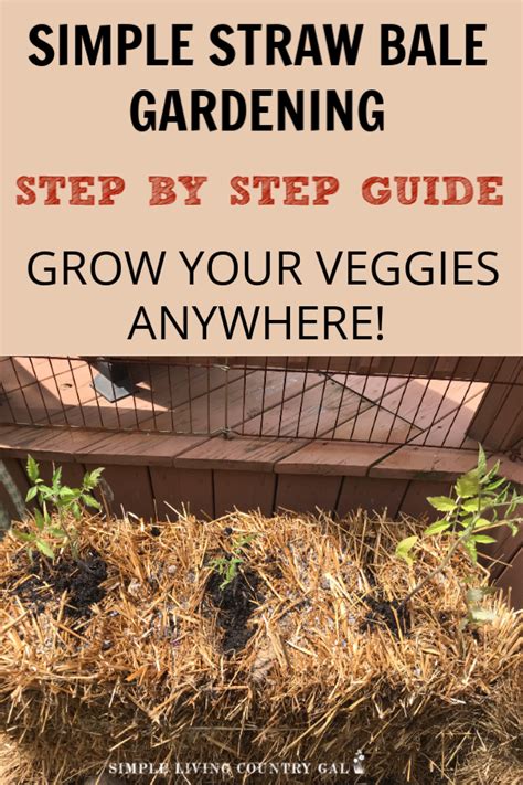 A Step By Step Guide On How To Straw Bale Garden Artofit