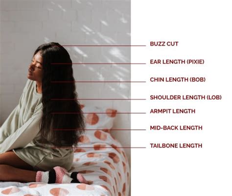 Hair Length Chart With An Ultimate Length Guide For Women