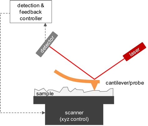 10 Operating Principle Of Atomic Force Microscopy And Basic Components