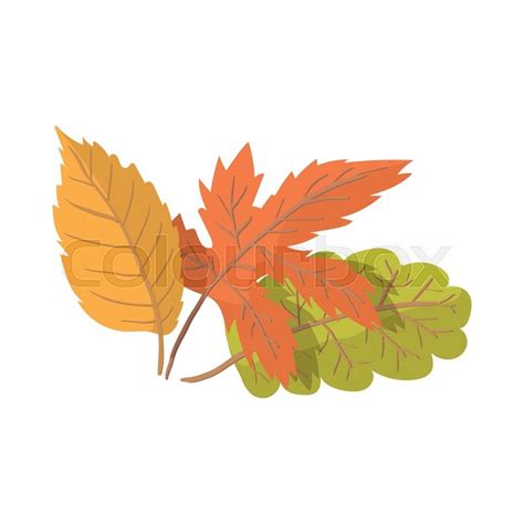 Autumn Leaves Cartoon Icon On The White Background Stock