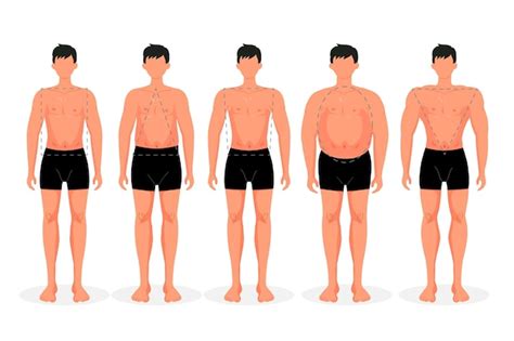 Male Body Types Images Free Vectors Stock Photos And Psd
