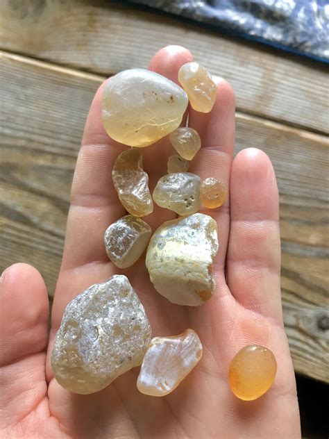Anyone Interested In Beach Agates From Wa I Usually Find Some Super