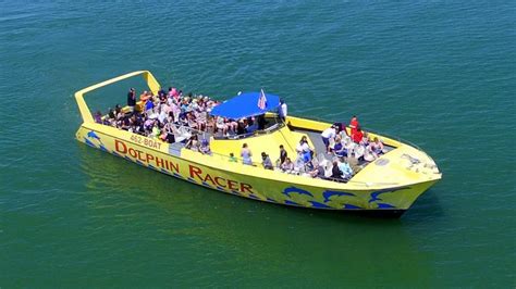 Best Dolphin Watching Boat Tours In St Pete Clearwater Area