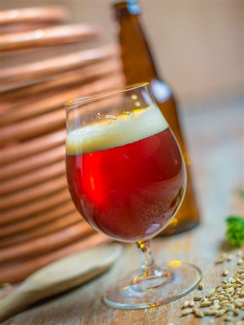 The Fall Cranberry Saison Beer Recipe American Homebrewers