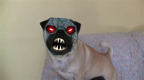 Demon Pug By Shadowtutorials By Zarodas On Deviantart