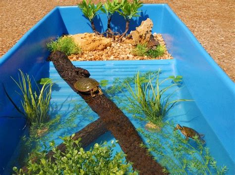 Blue Water Turtle Tub For Sale From The Turtle Source Turtle Tub