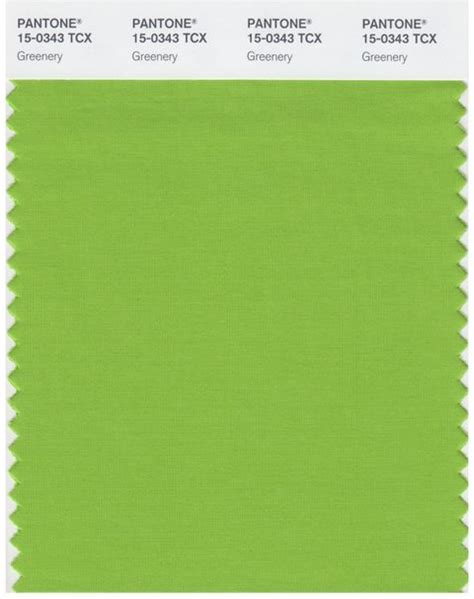 Greenery Named As Pantones Colour Of The Year 2017