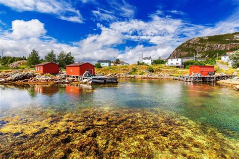 12 Unique Things To Do In Newfoundland